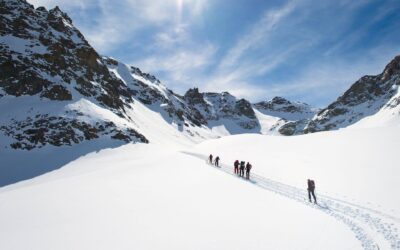 Case Study: Dune Solutions